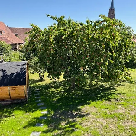 Au Sauna De L'aubach Scherwiller