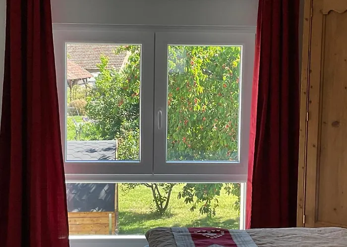 Au Sauna De L'aubach Holiday home *