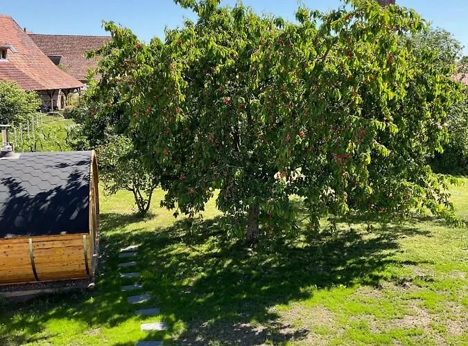 Au Sauna De L'aubach Scherwiller