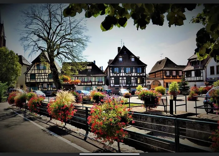 Holiday home Au Sauna De L'aubach Scherwiller